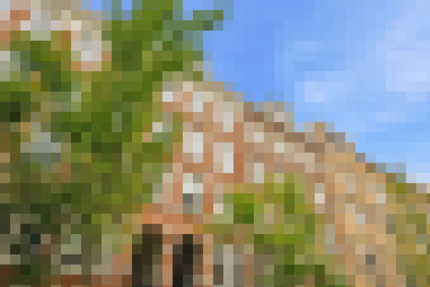 Van Oldenbarneveldtstraat 64 4 Amsterdam thumbnail 5