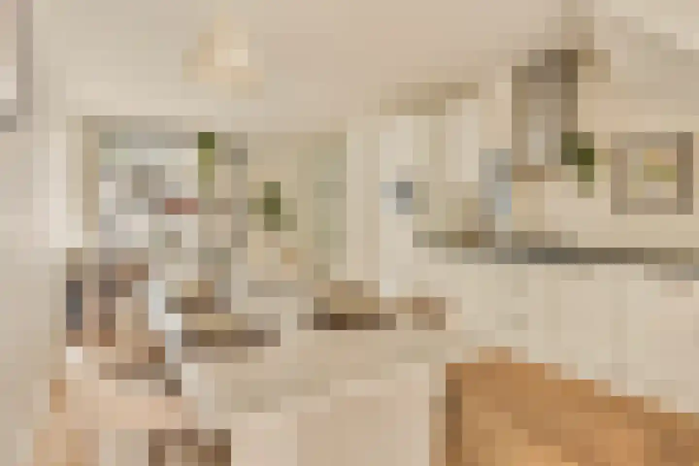 Van Oldenbarneveldtstraat 70 1 Amsterdam thumbnail 4