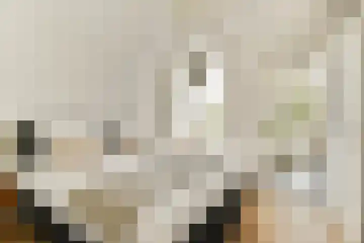 Van Oldenbarneveldtstraat 70 1 Amsterdam thumbnail 9