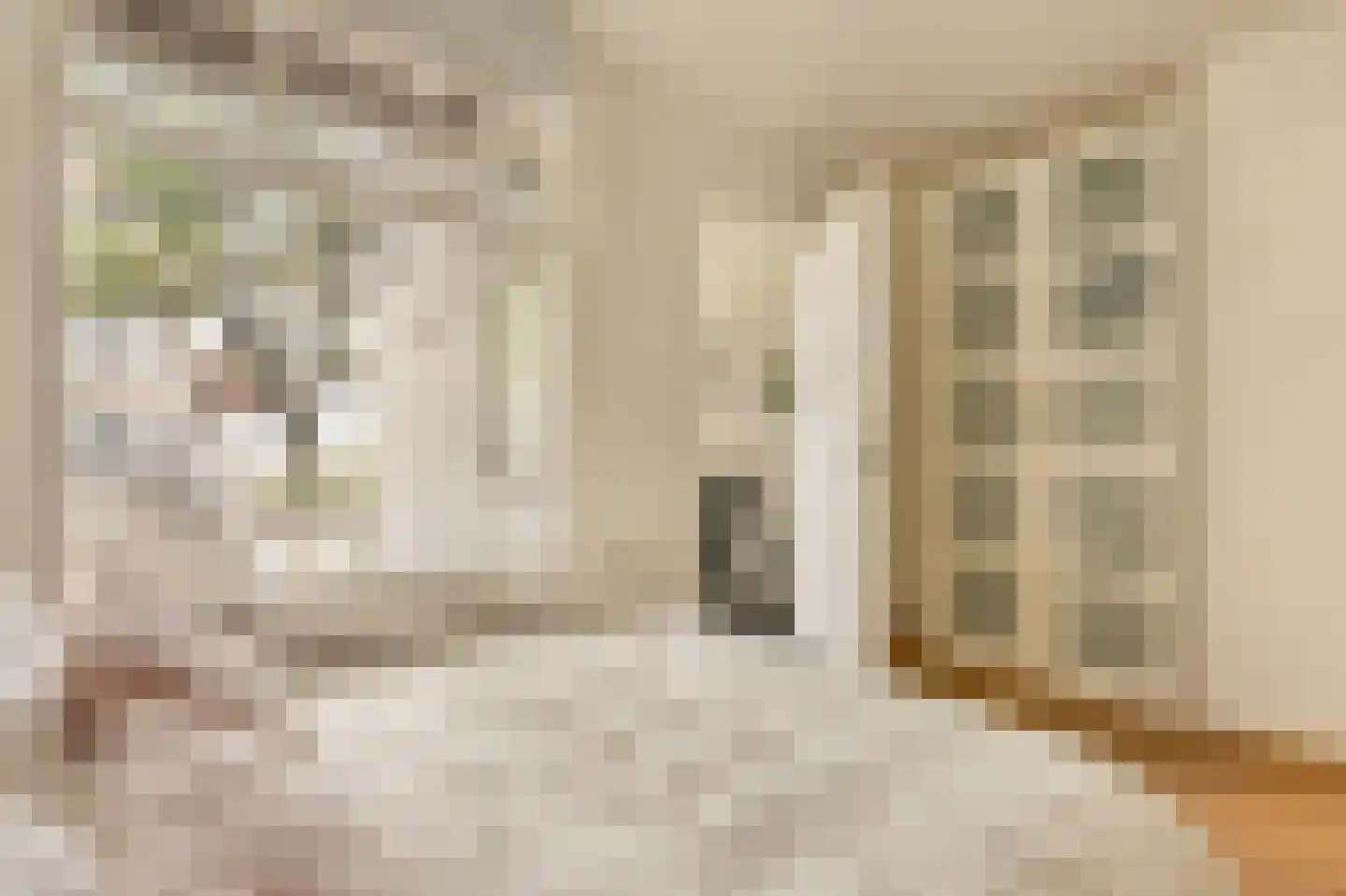 Van Oldenbarneveldtstraat 70 1 Amsterdam thumbnail 9