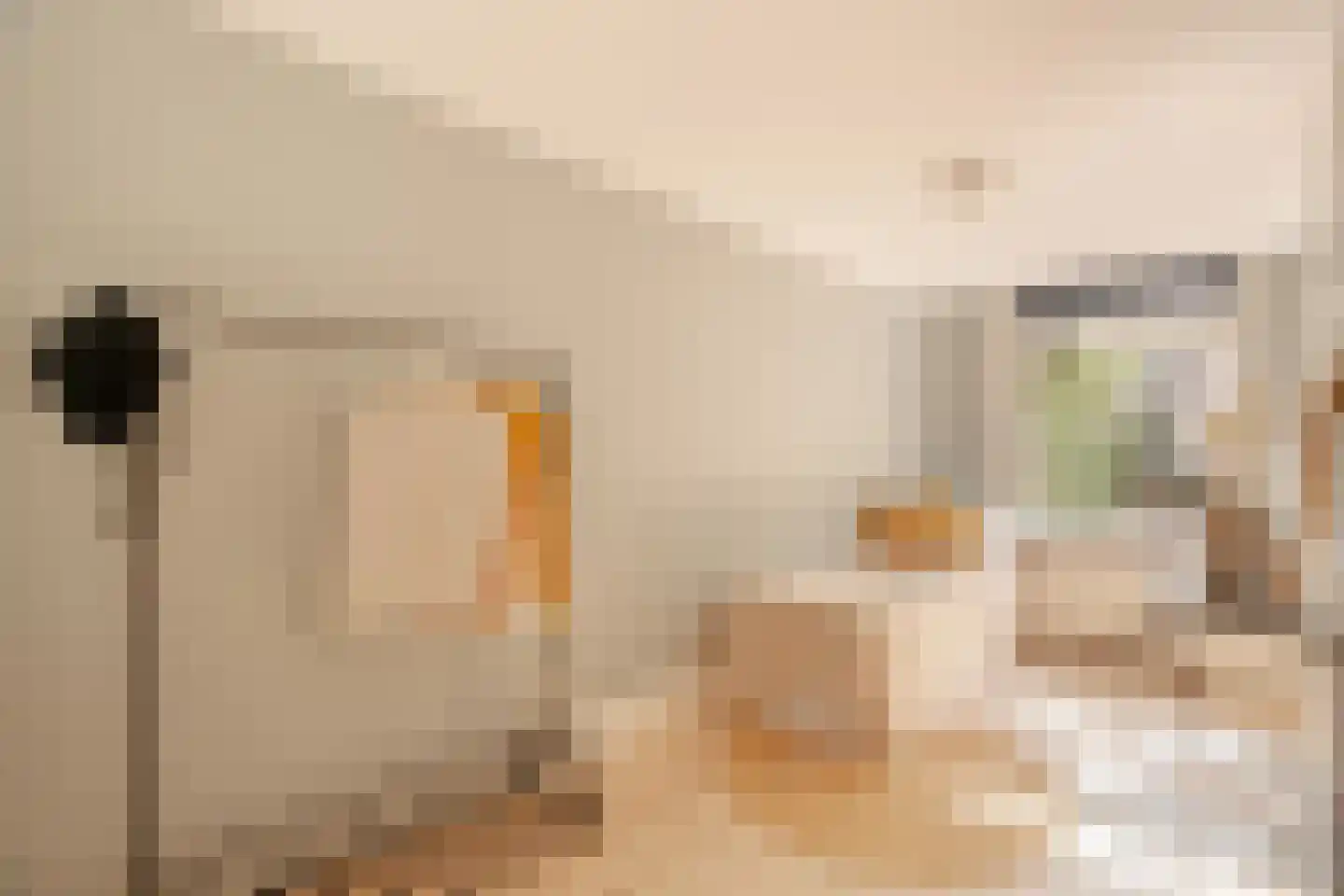 Van Oldenbarneveldtstraat 75 H Amsterdam thumbnail 26
