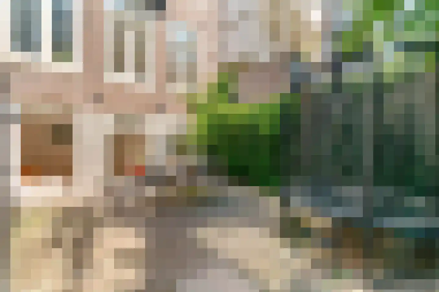 Van Oldenbarneveldtstraat 75 H Amsterdam thumbnail 36