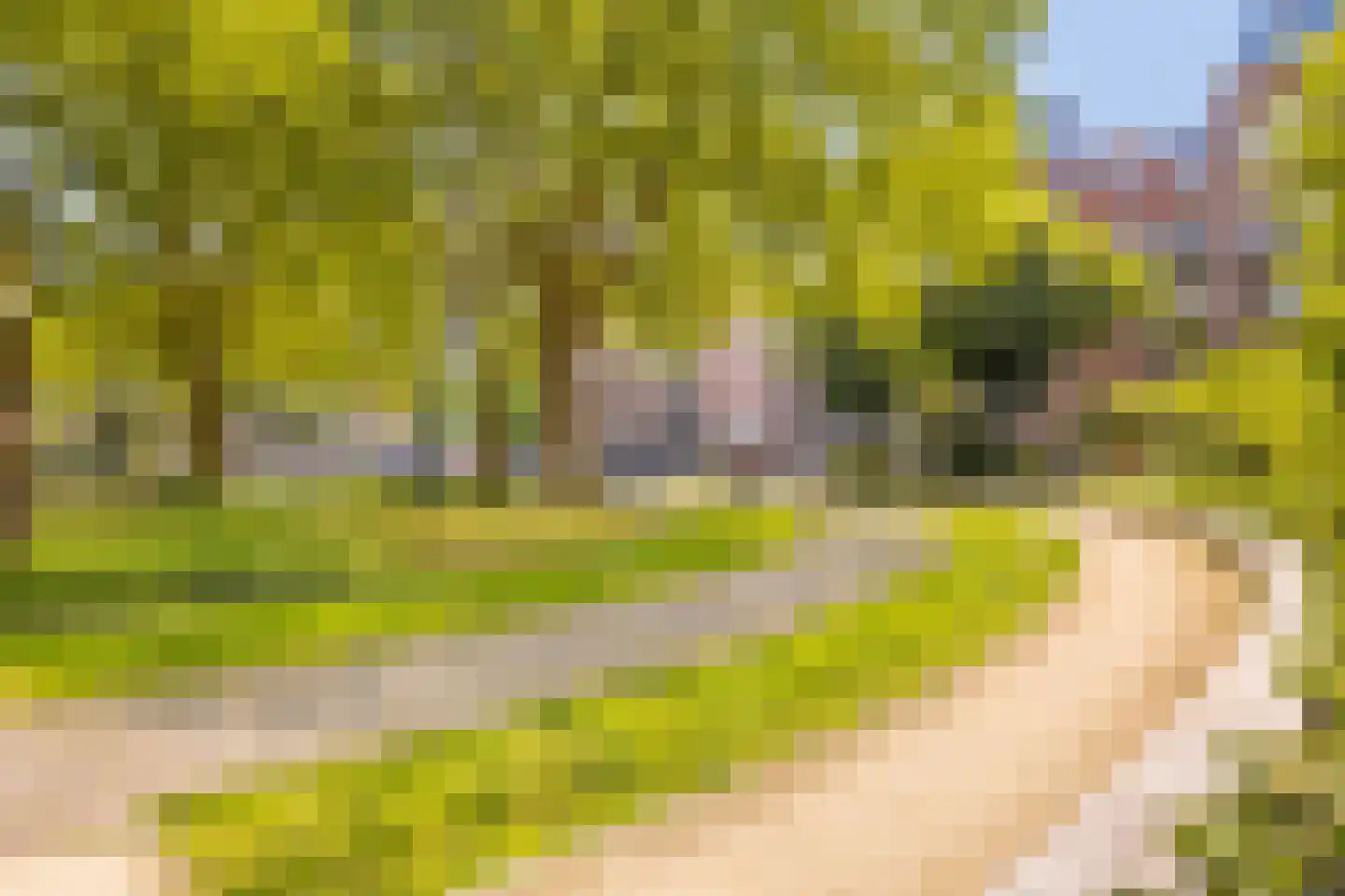 Van Oldenbarneveldtstraat 75 H Amsterdam thumbnail 43