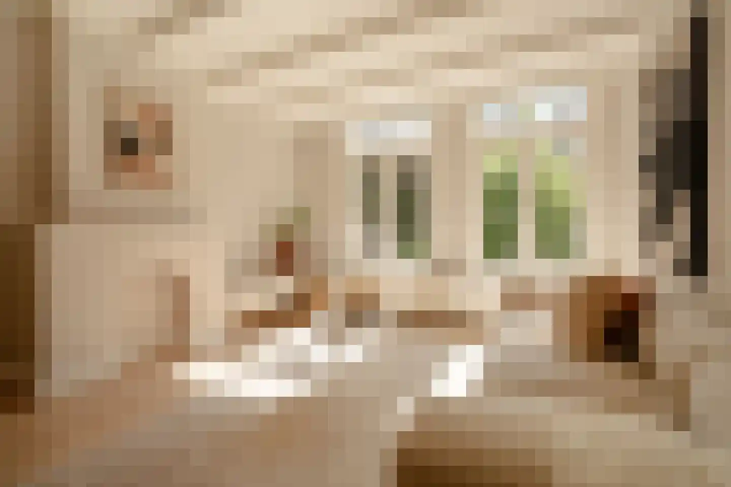 Van Oldenbarneveldtstraat 75 H Amsterdam thumbnail 5