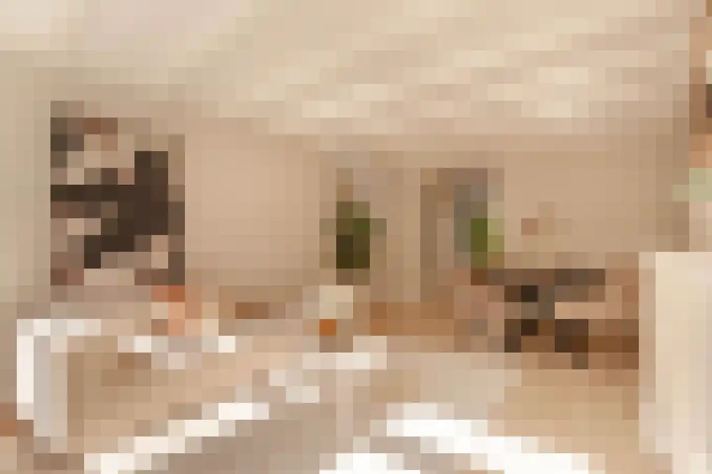Van Oldenbarneveldtstraat 75 H Amsterdam thumbnail 7