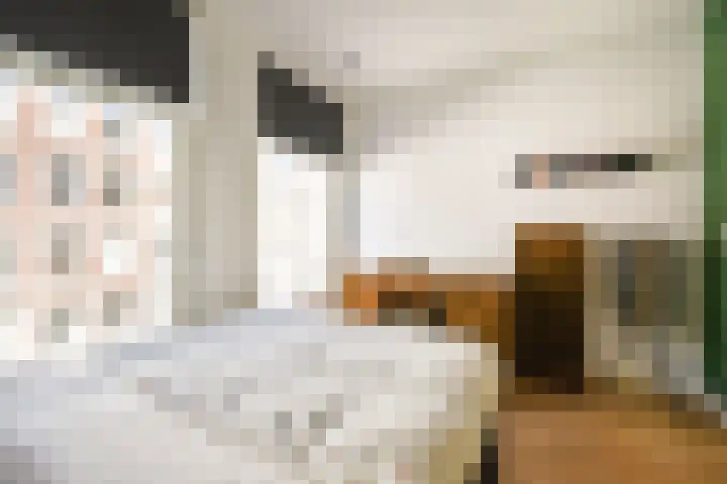Van Oldenbarneveldtstraat 81 B Amsterdam thumbnail 12