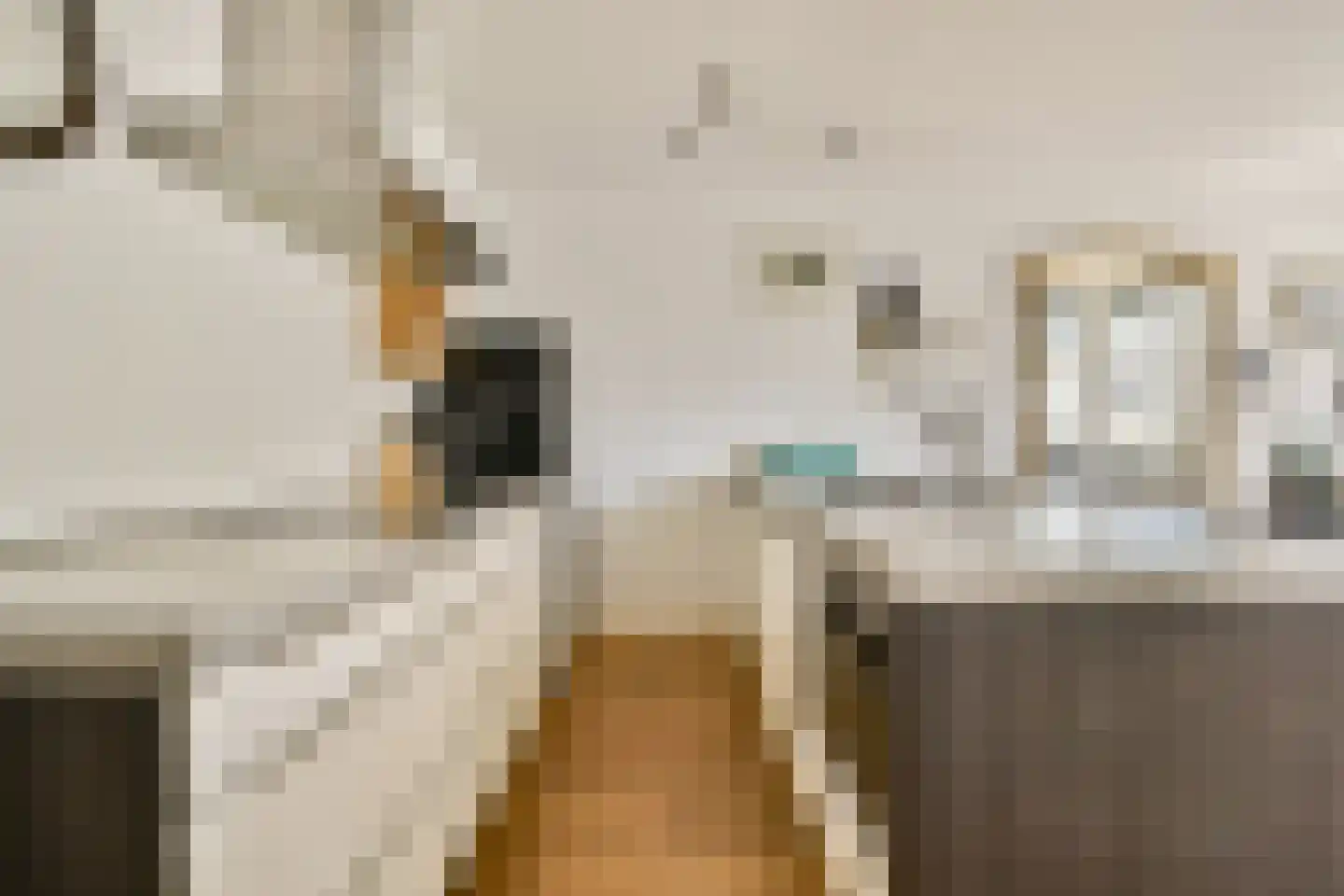Van Oldenbarneveldtstraat 81 B Amsterdam thumbnail 6