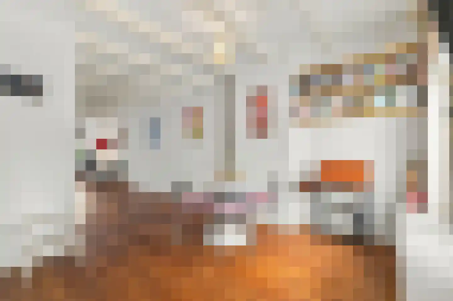 Van Oldenbarneveldtstraat 96 3 Amsterdam thumbnail 12