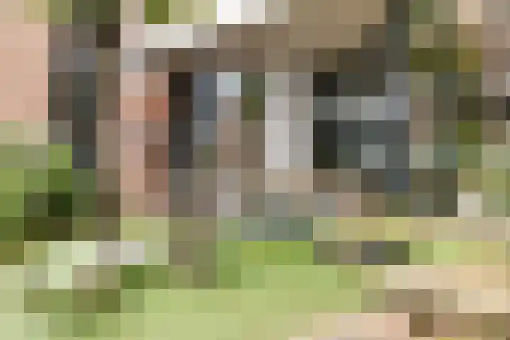 Van Oldenbarneveldtstraat 96 B 2 Amsterdam thumbnail 30