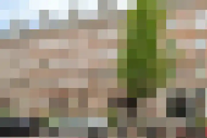 Van Oldenbarneveldtstraat 96 B 2 Amsterdam thumbnail 5