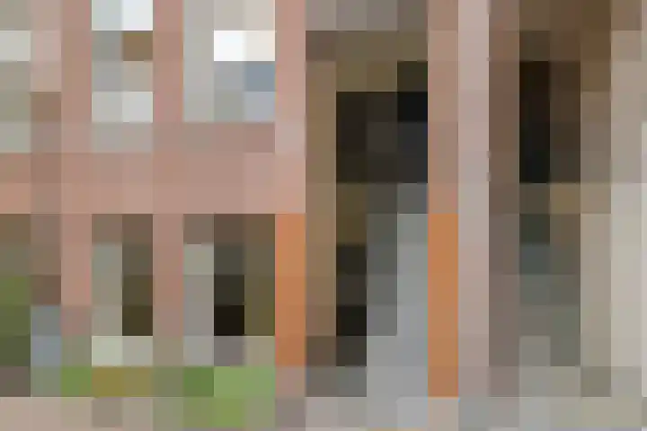 Van Oldenbarneveldtstraat 96 B 2 Amsterdam thumbnail 6
