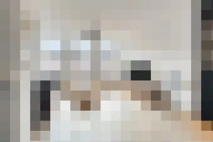 Van Oldenbarneveldtstraat 96 B 2 Amsterdam thumbnail 8