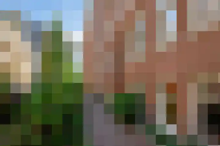 Van Oldenbarneveldtstraat 96 C 4 Amsterdam thumbnail 20