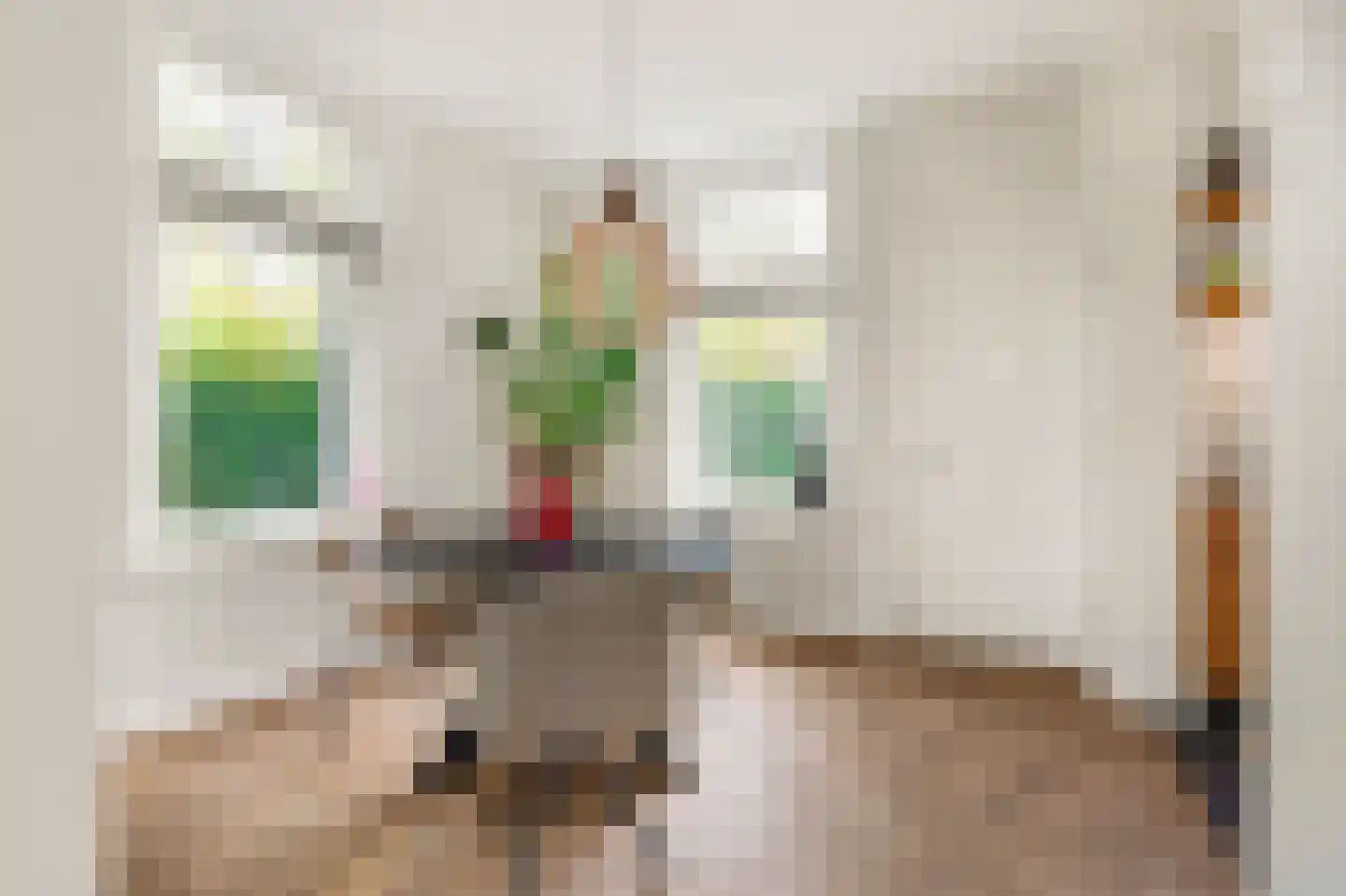 Van Oldenbarneveldweg 30 Castricum thumbnail 16