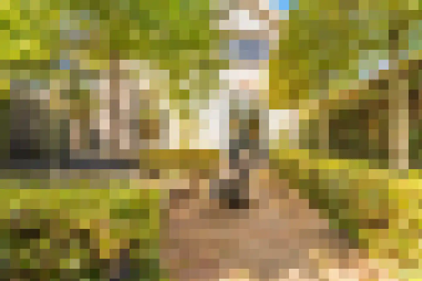 Van Oldenbarneveldweg 30 Castricum thumbnail 53