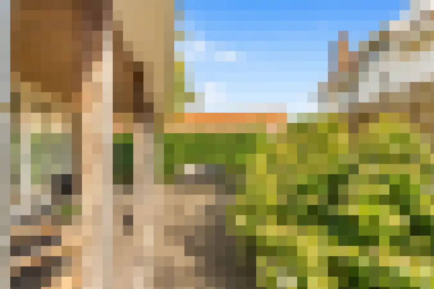 Van Oldenbarneveldweg 30 Castricum thumbnail 65