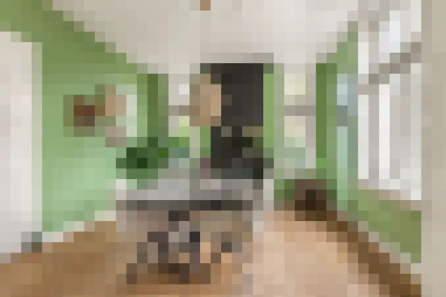 Van Oldenbarneveldweg 30 Castricum thumbnail 7