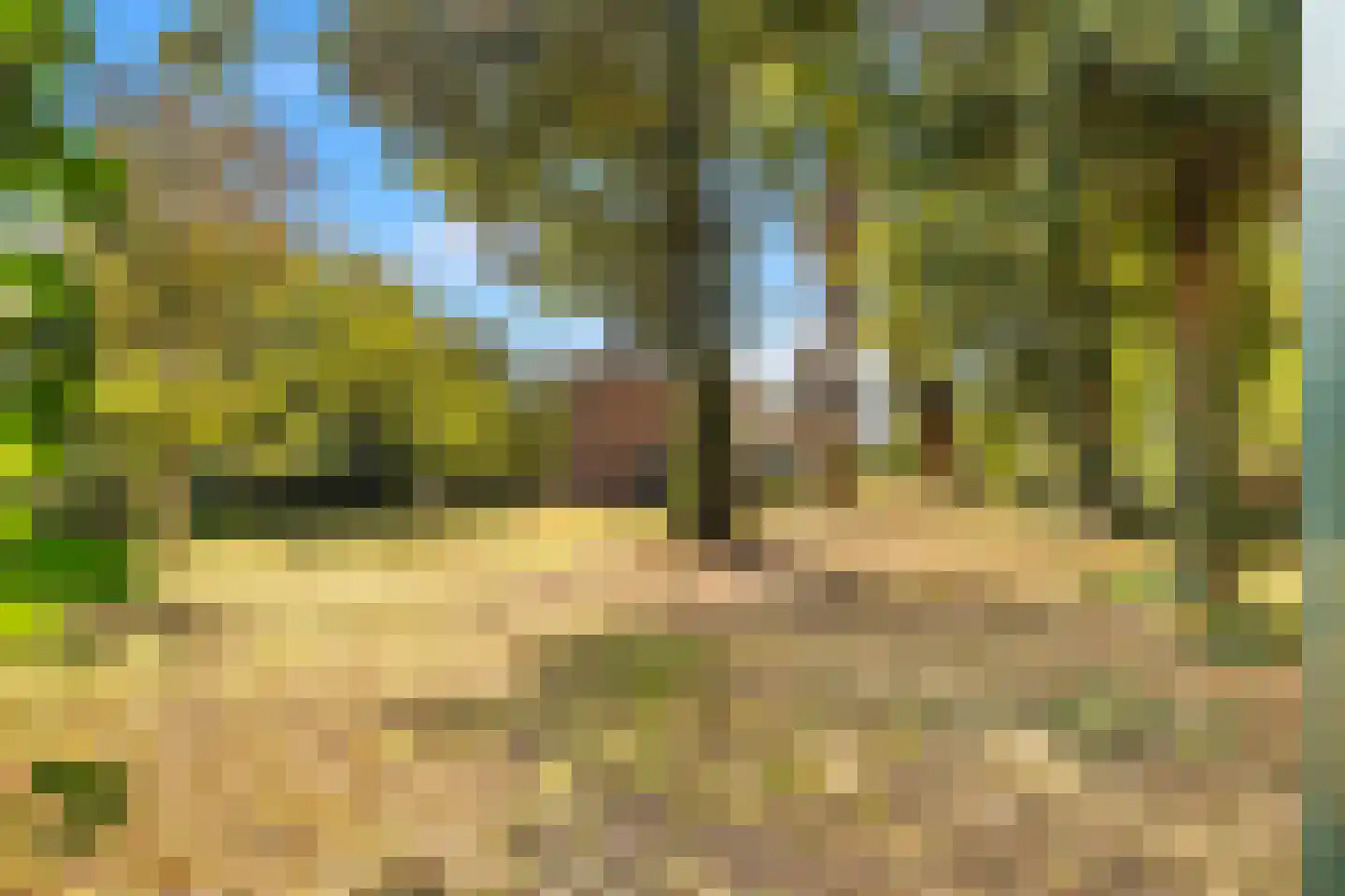 Van Oldenbarneveldweg 30 Castricum thumbnail 76