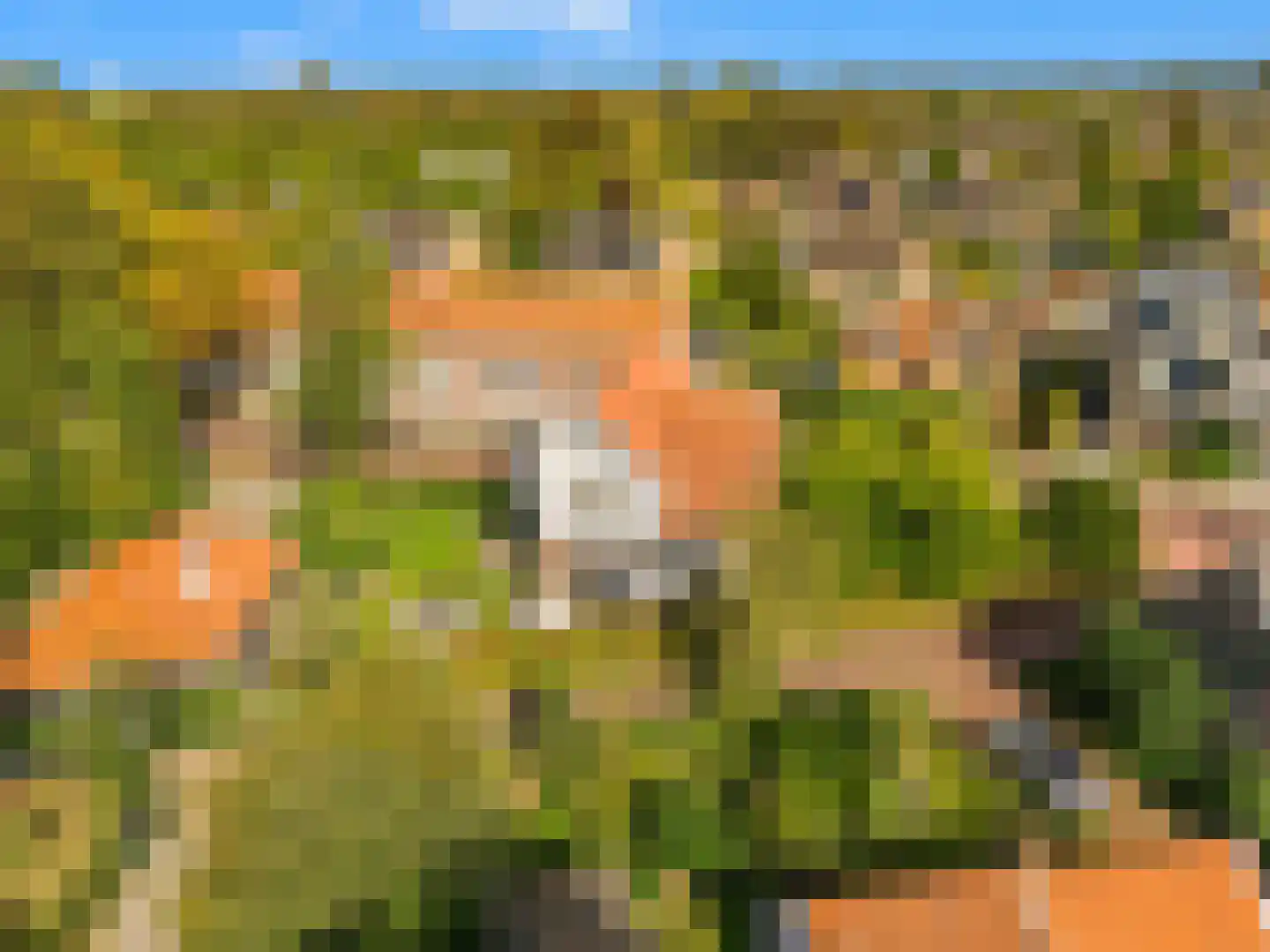 Van Oldenbarneveldweg 30 Castricum thumbnail 81