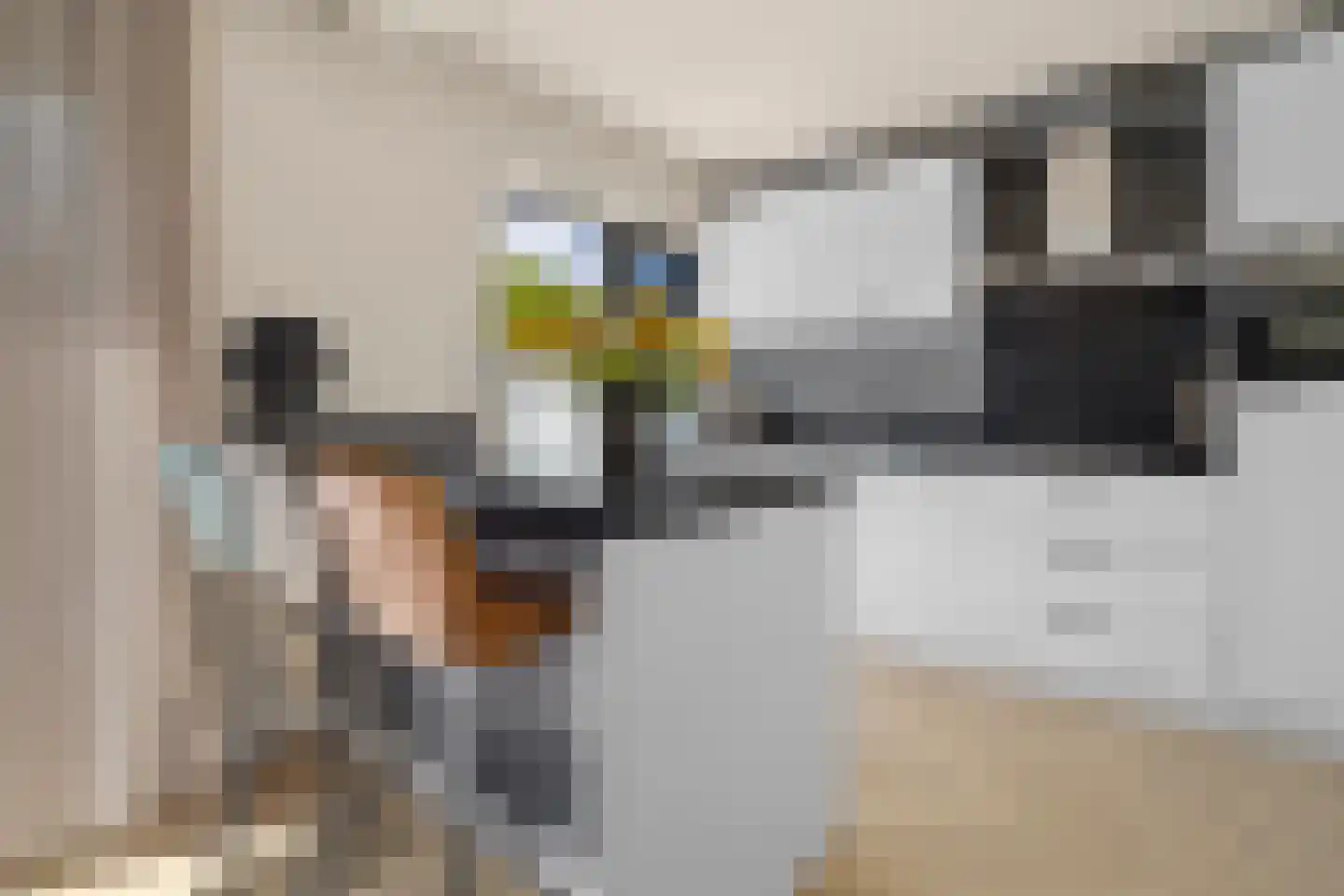 Van Oldenbarneveldweg 4 Castricum thumbnail 16