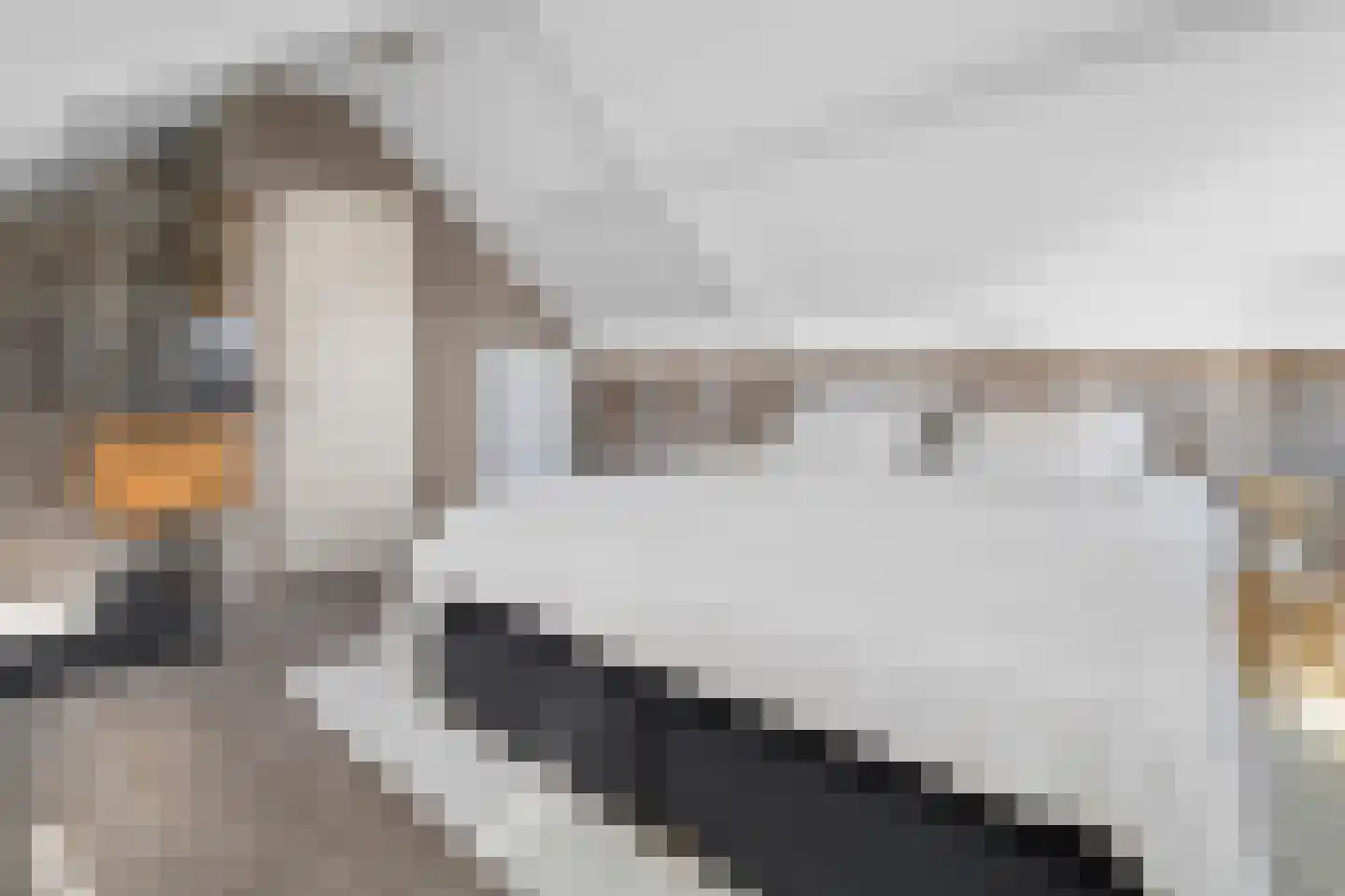 Van Oldenbarneveldweg 4 Castricum thumbnail 33
