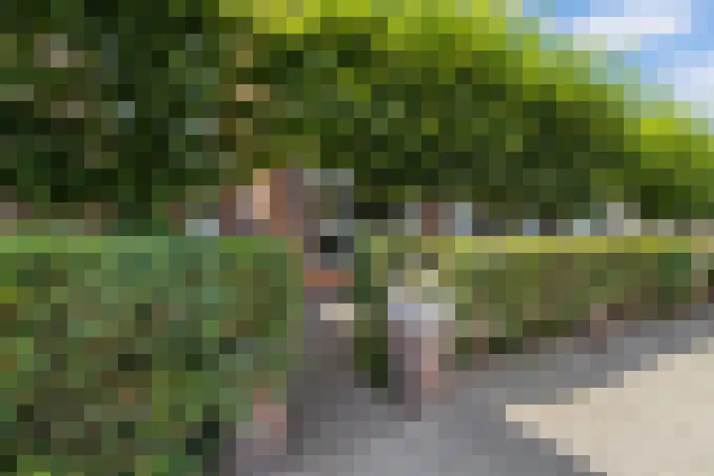Van Oldenbarneveldweg 4 Castricum thumbnail 5