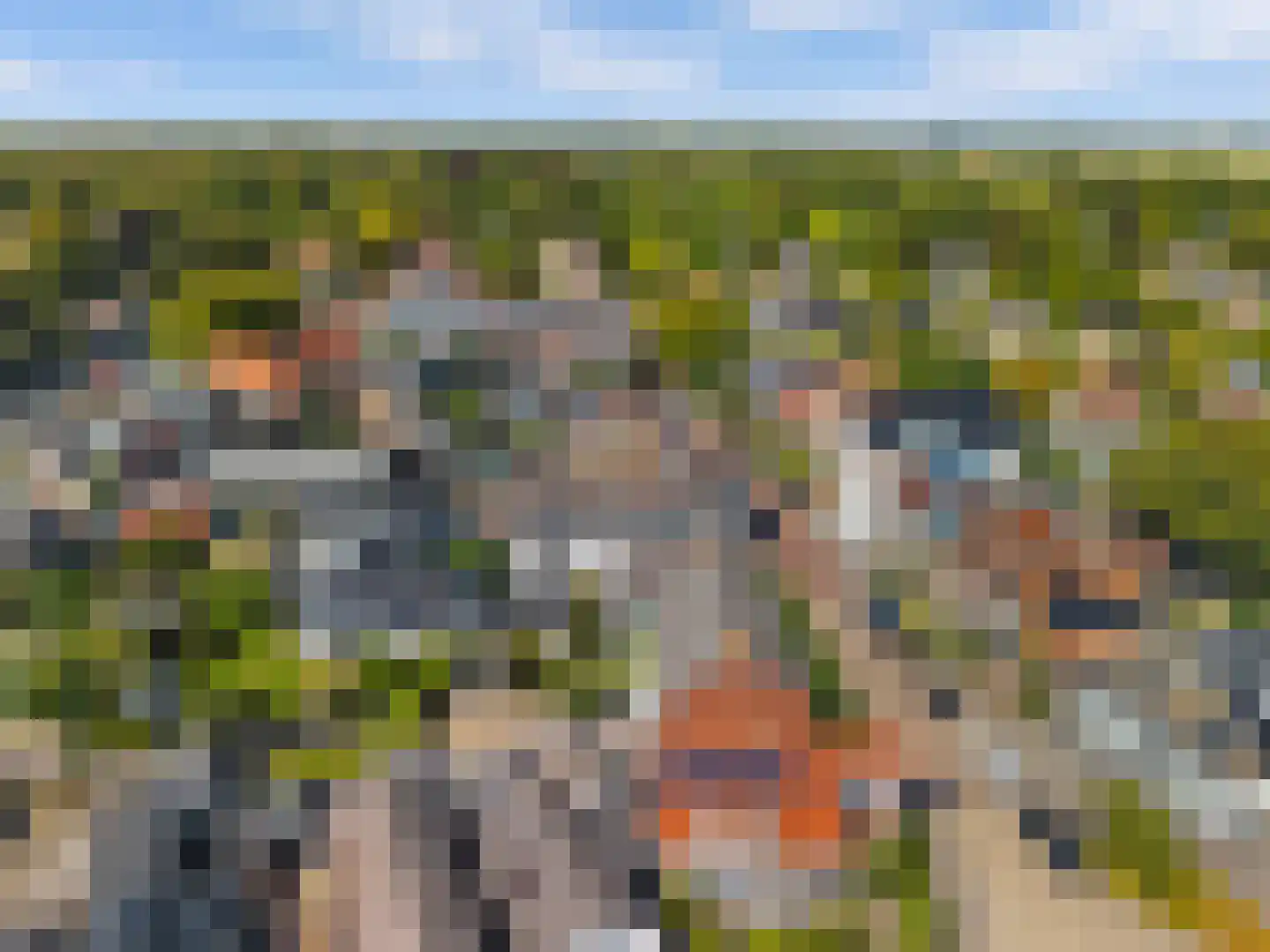 Van Oldenbarneveldweg 4 Castricum thumbnail 58