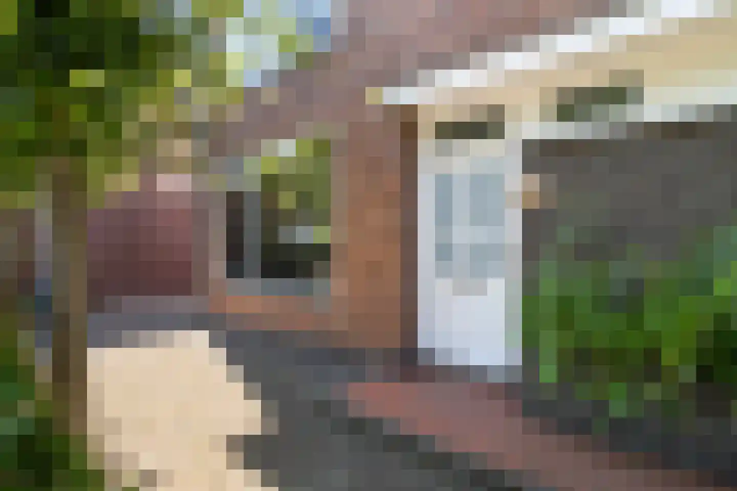 Van Oldenbarneveldweg 4 Castricum thumbnail 6