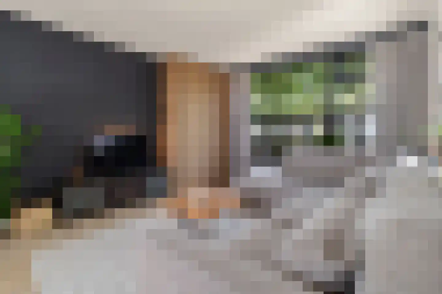 Van Oldenbarneveldweg 4 Castricum thumbnail 9