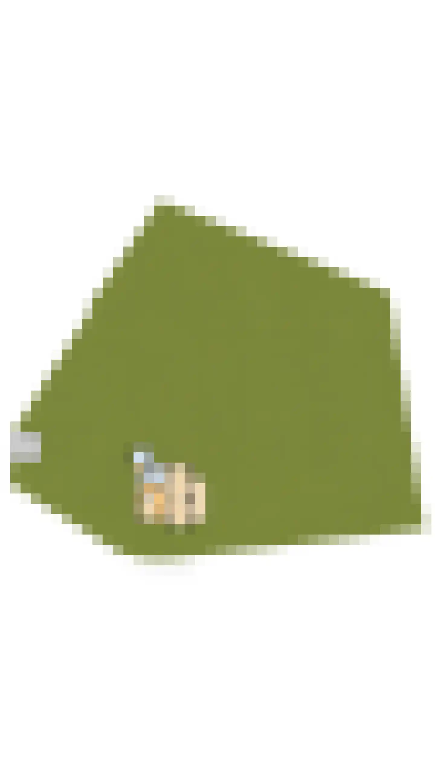 Van Oldenbarneveldweg 53 Castricum thumbnail 101