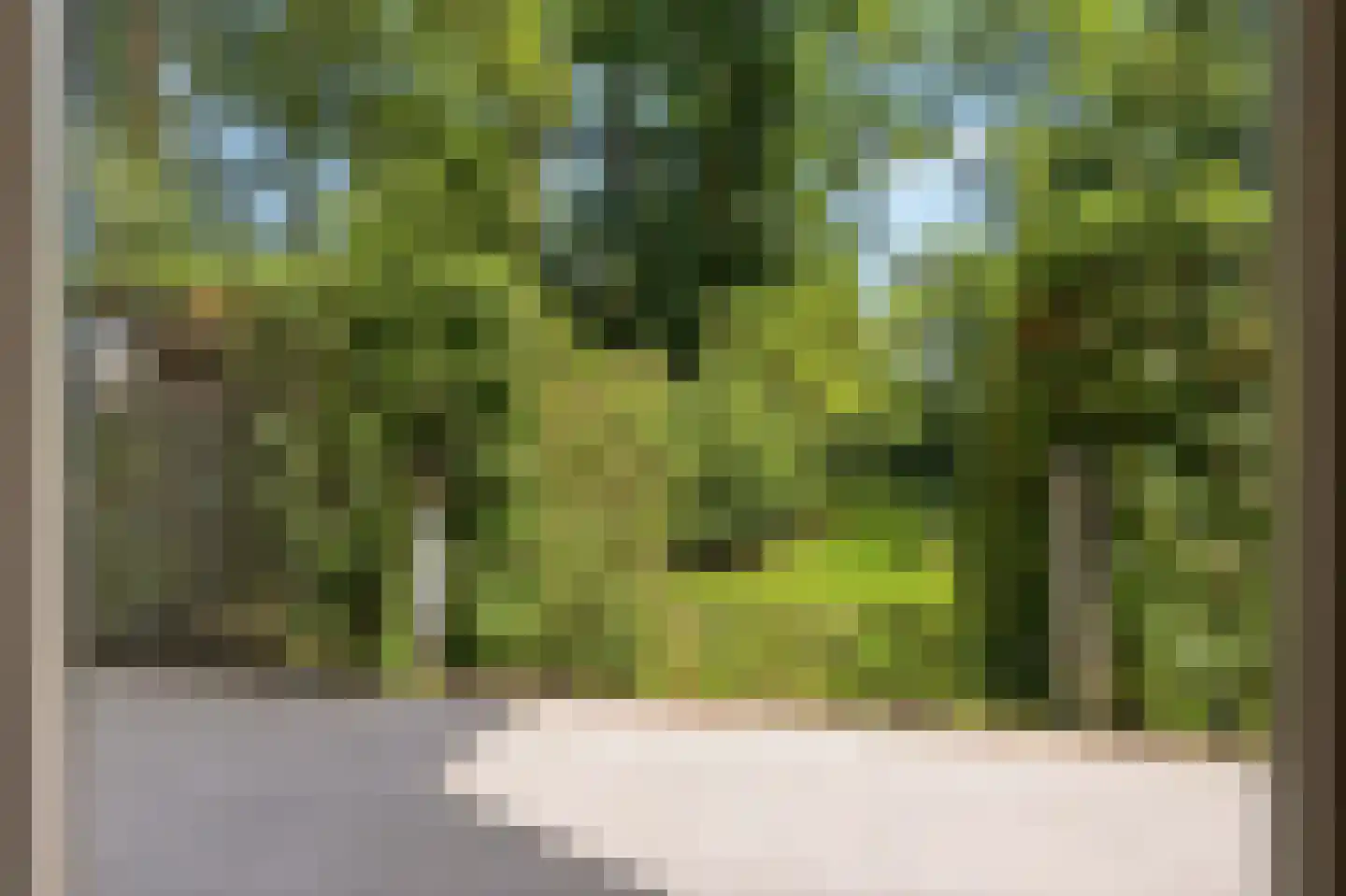 Van Oldenbarneveldweg 53 Castricum thumbnail 21