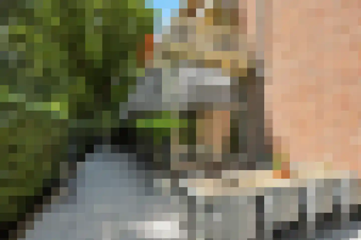 Van Oldenbarneveldweg 53 Castricum thumbnail 31