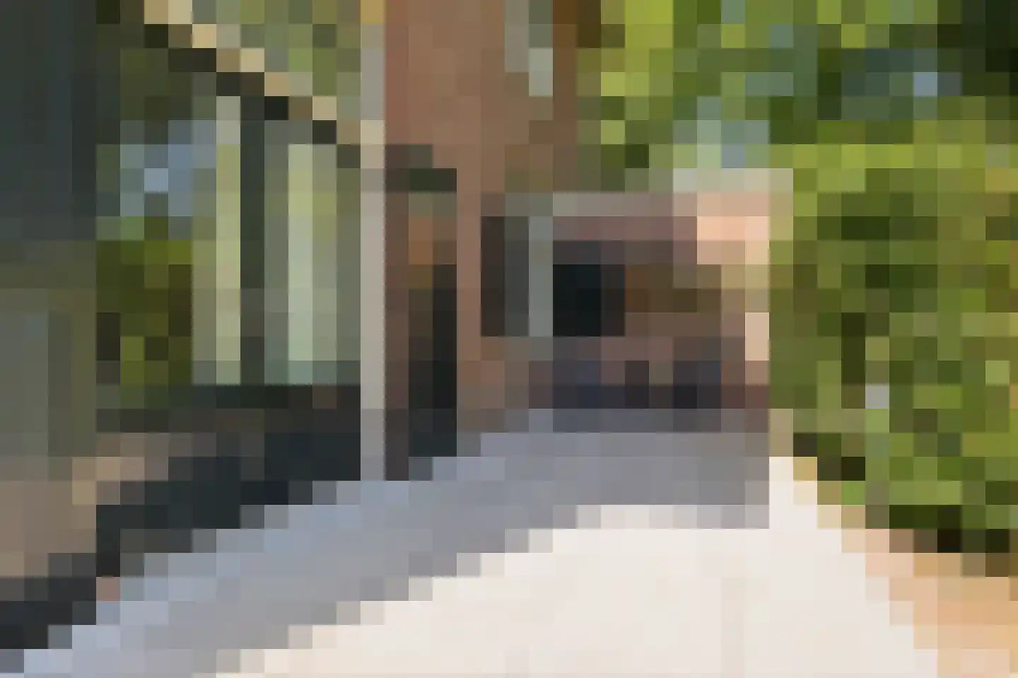 Van Oldenbarneveldweg 53 Castricum thumbnail 32