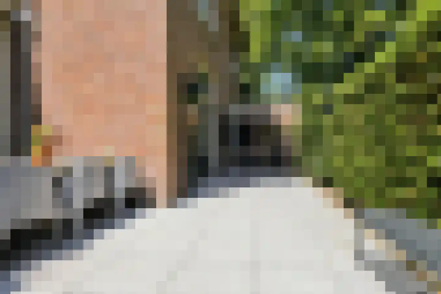 Van Oldenbarneveldweg 53 Castricum thumbnail 34