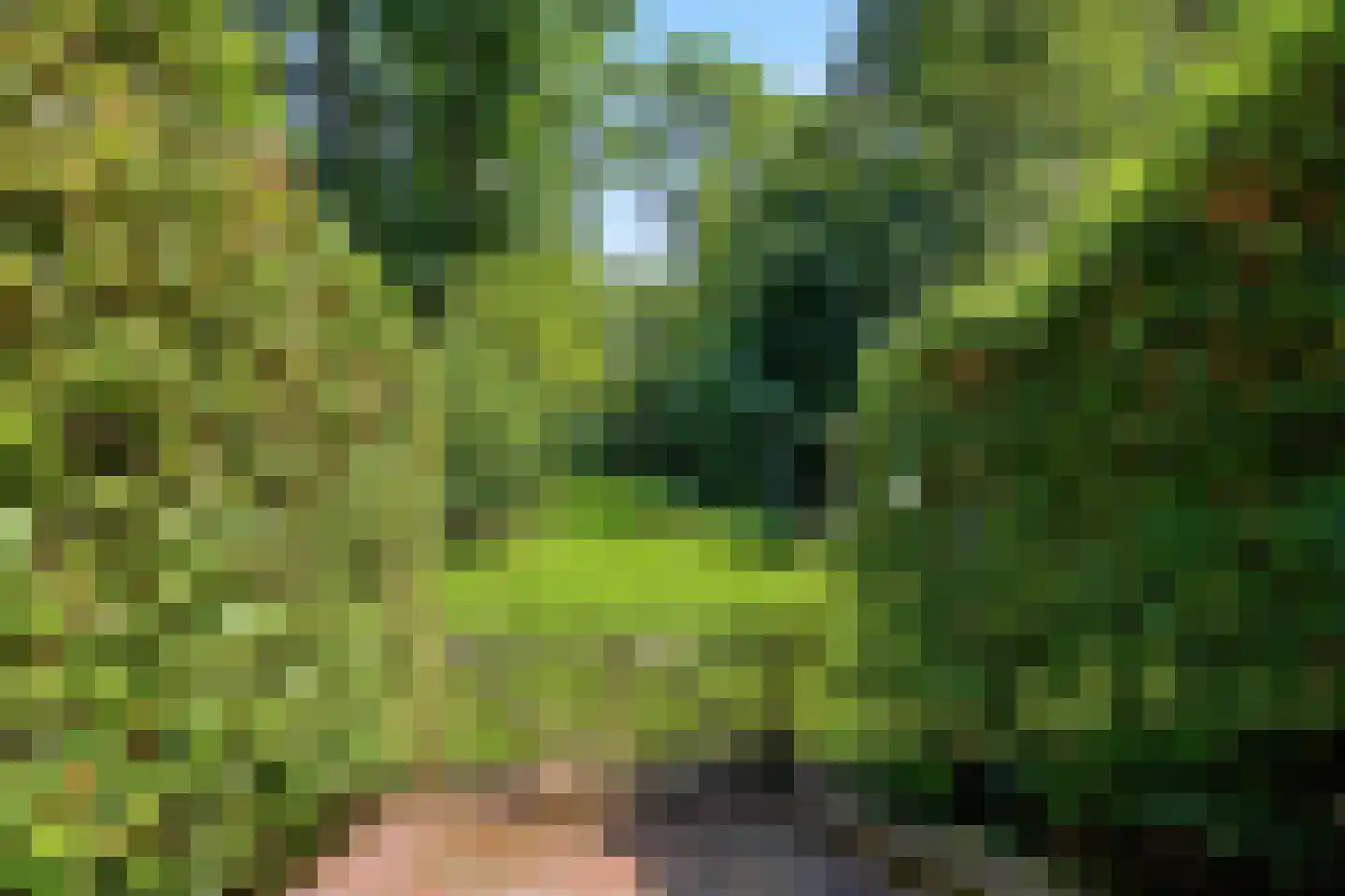 Van Oldenbarneveldweg 53 Castricum thumbnail 36