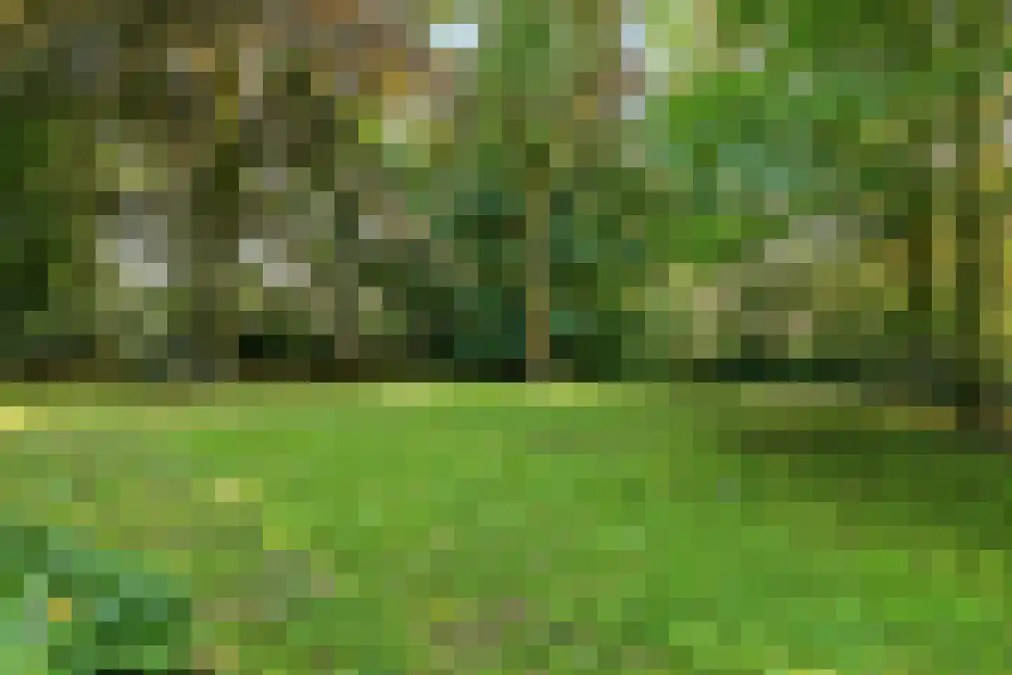 Van Oldenbarneveldweg 53 Castricum thumbnail 45