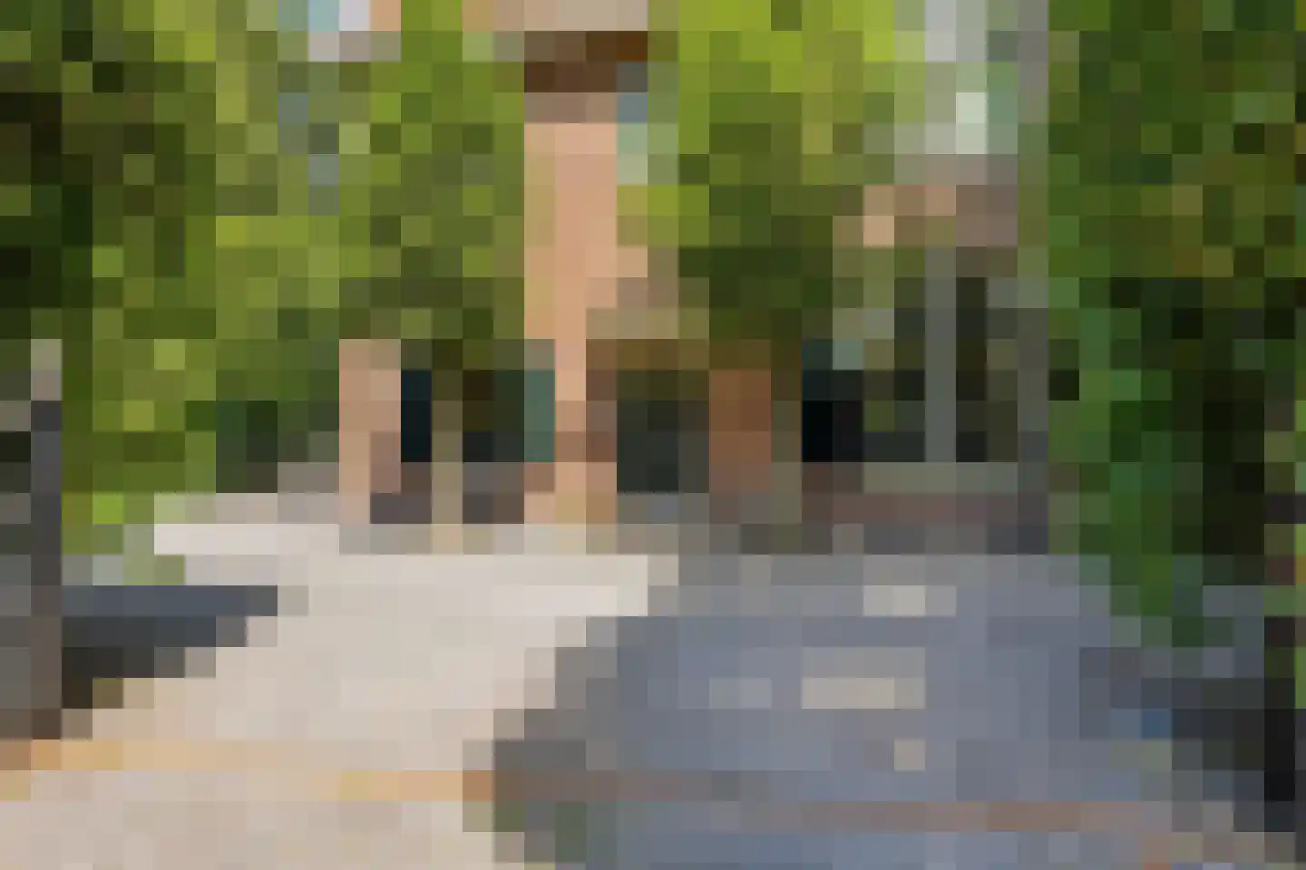 Van Oldenbarneveldweg 53 Castricum thumbnail 5
