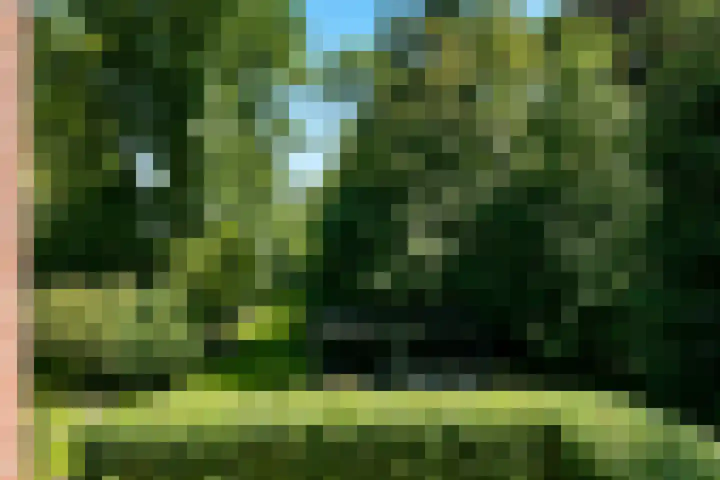 Van Oldenbarneveldweg 53 Castricum thumbnail 74