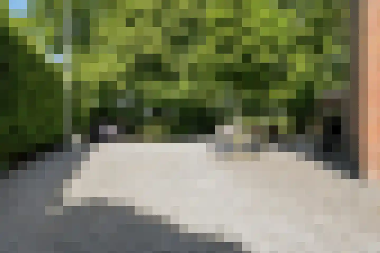 Van Oldenbarneveldweg 53 Castricum thumbnail 8