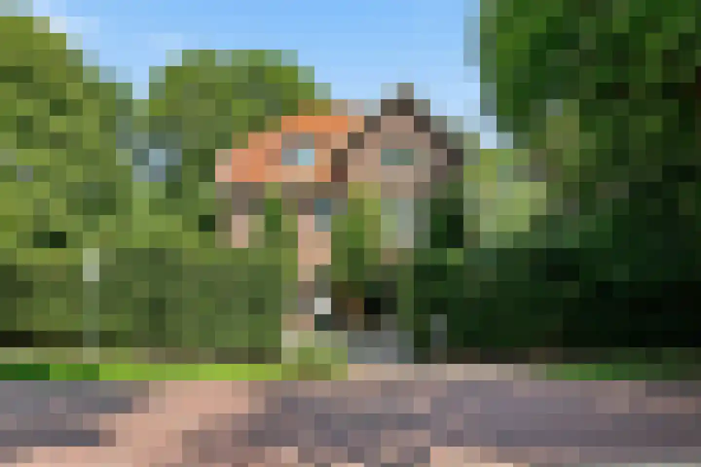 Van Oldenbarneveldweg 53 Castricum thumbnail 88