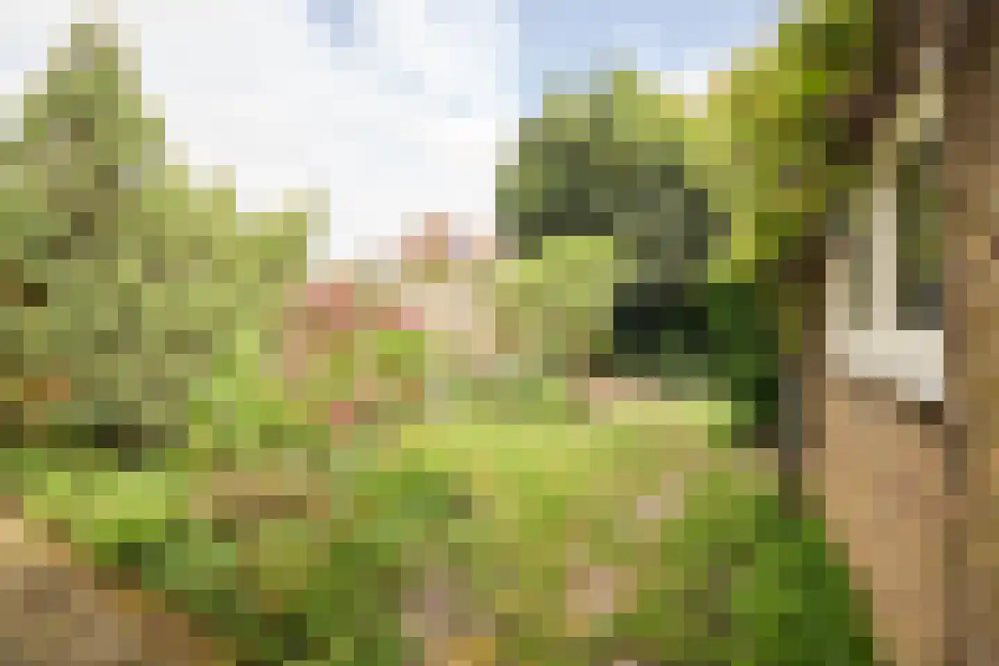 Van Oldenbarneveltlaan 10 Hilversum thumbnail 39