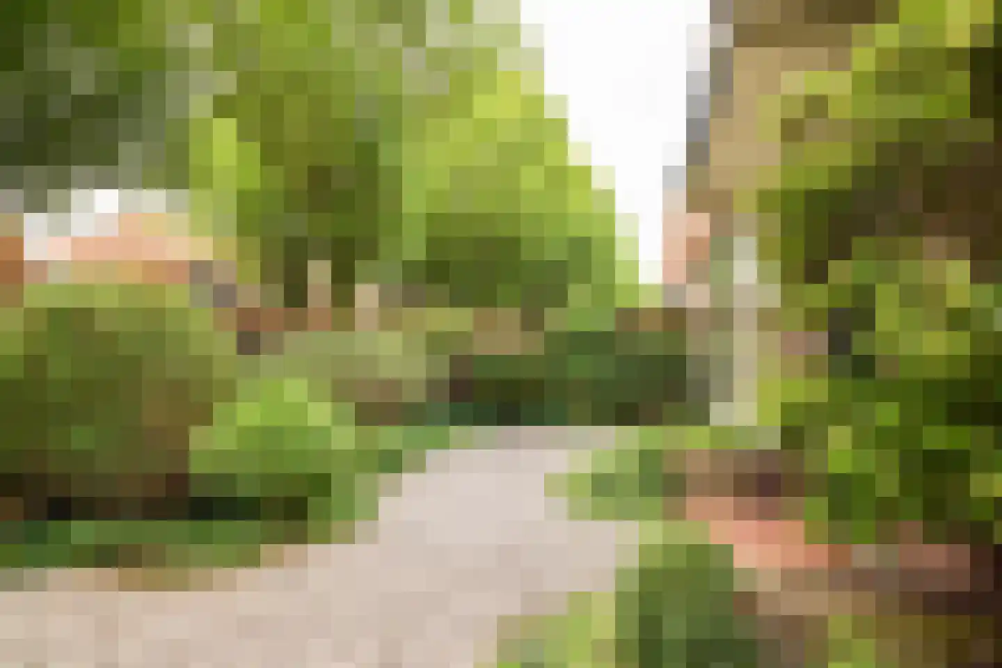 Van Oldenbarneveltlaan 10 Hilversum thumbnail 4