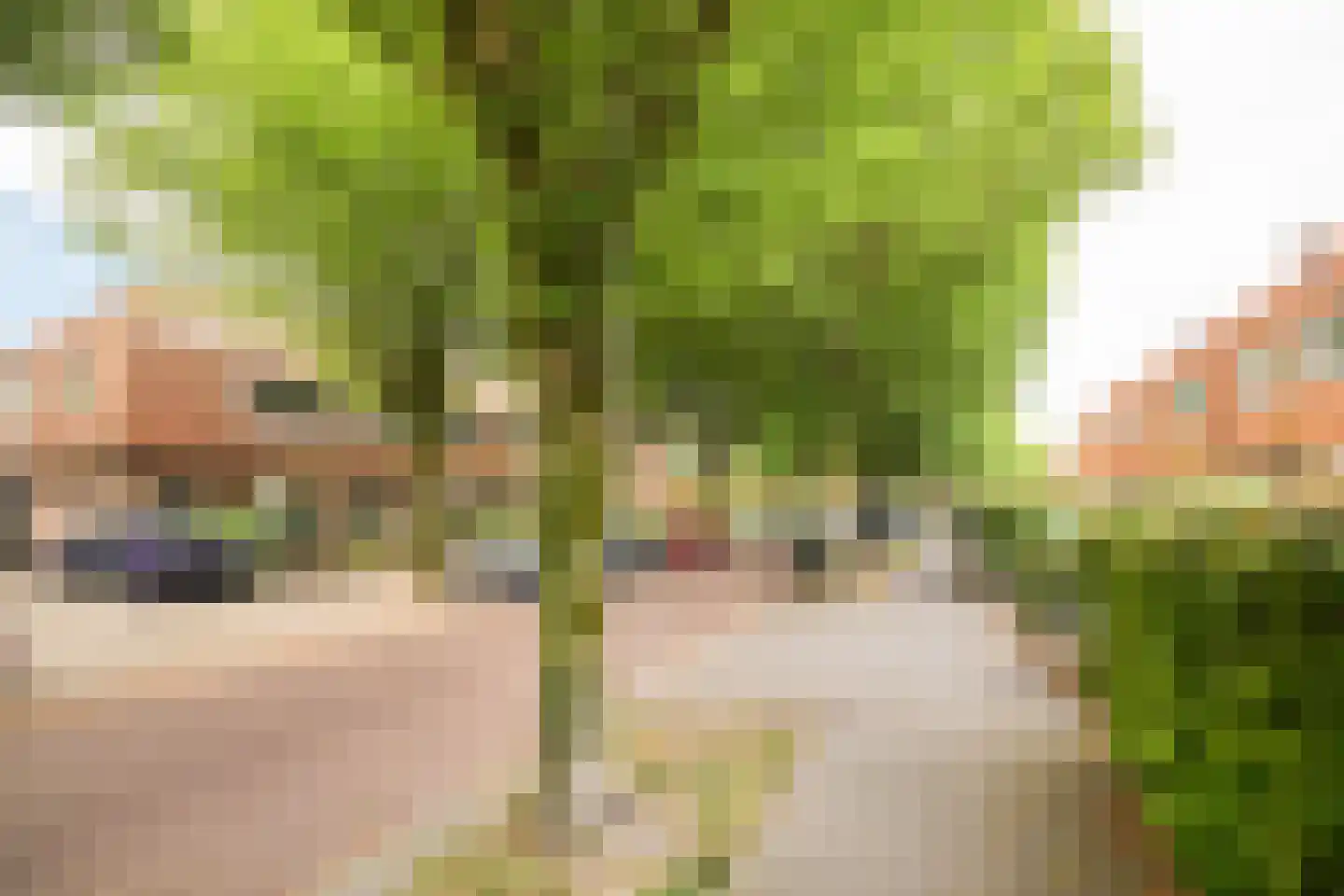 Van Oldenbarneveltlaan 10 Hilversum thumbnail 47