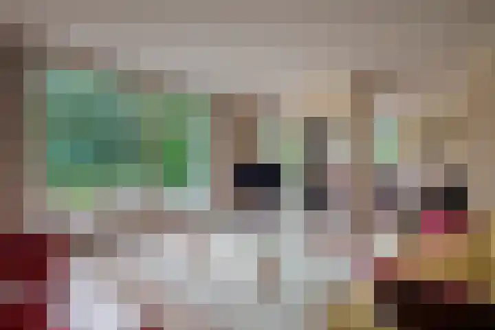 van Oldenbarneveltlaan 14 Eindhoven thumbnail 14