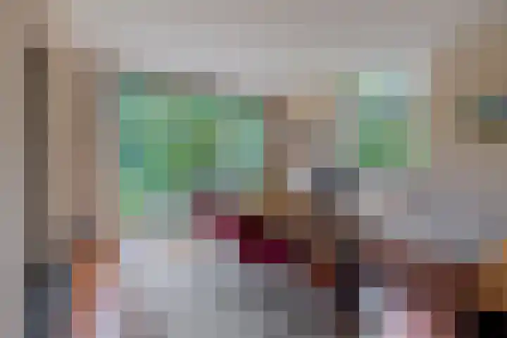 van Oldenbarneveltlaan 14 Eindhoven thumbnail 18