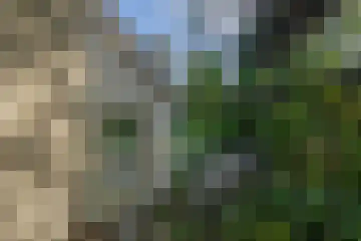 van Oldenbarneveltlaan 14 Eindhoven thumbnail 27