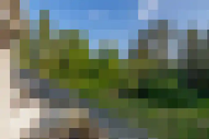 van Oldenbarneveltlaan 14 Eindhoven thumbnail 36