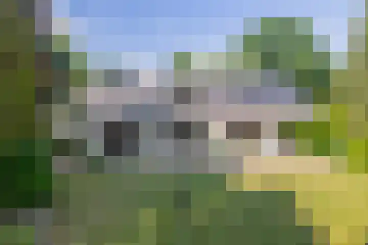 van Oldenbarneveltlaan 14 Eindhoven thumbnail 4