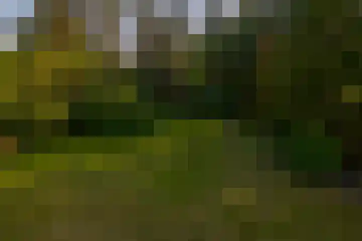 van Oldenbarneveltlaan 14 Eindhoven thumbnail 41