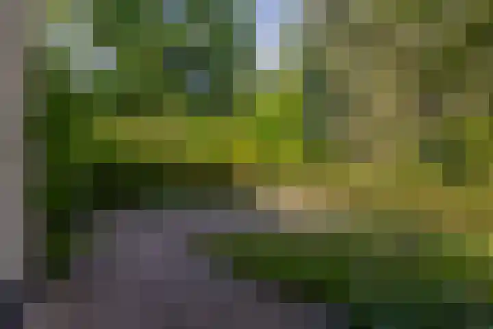 van Oldenbarneveltlaan 14 Eindhoven thumbnail 43